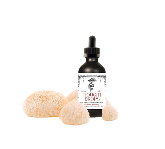 Thought Drops - Lion's Mane Tincture